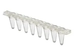 استریپ شفاف qPCR حجم 0.1 ml برند DNAbiotech استریپ شفاف qPCR حجم 0.1 ml برند DNAbiotech